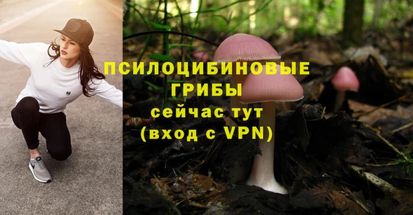 меф VHQ Дмитриев