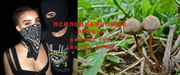 COCAINE Осинники