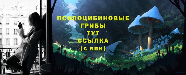меф VHQ Дмитриев