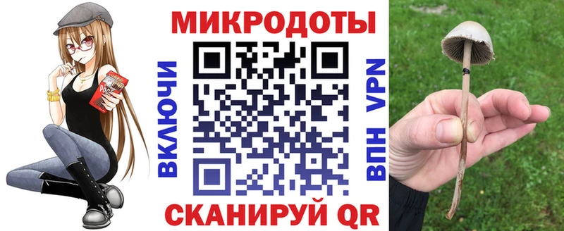 Купить где  Иннополис  Псилоцибиновые грибы Cubensis 